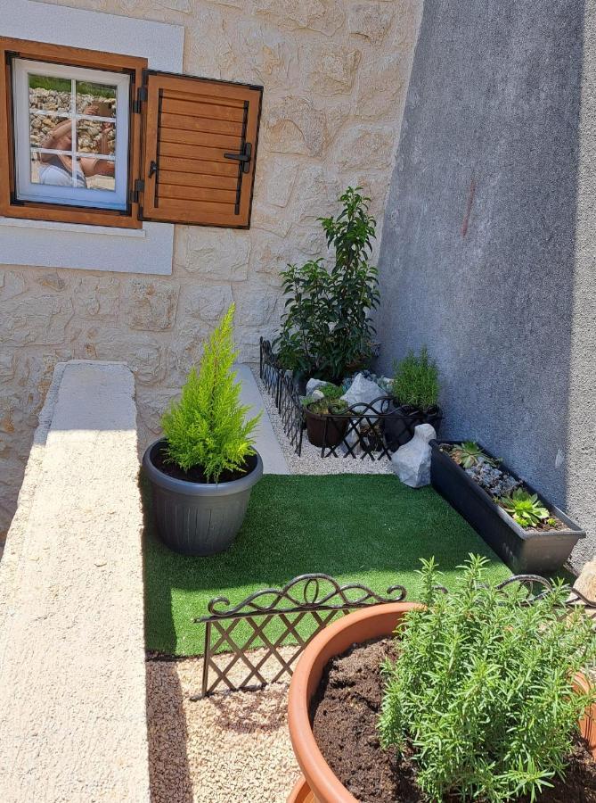 נובליה Villa Venkin Dvor מראה חיצוני תמונה